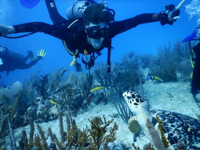  在普拉亚德尔卡门潜水